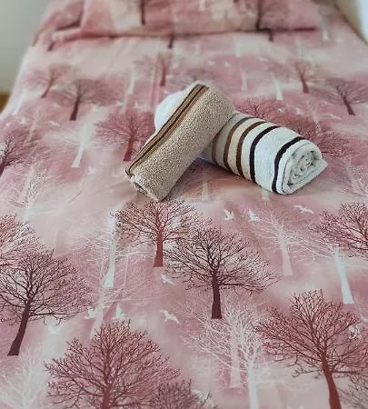 Centre Apartment *